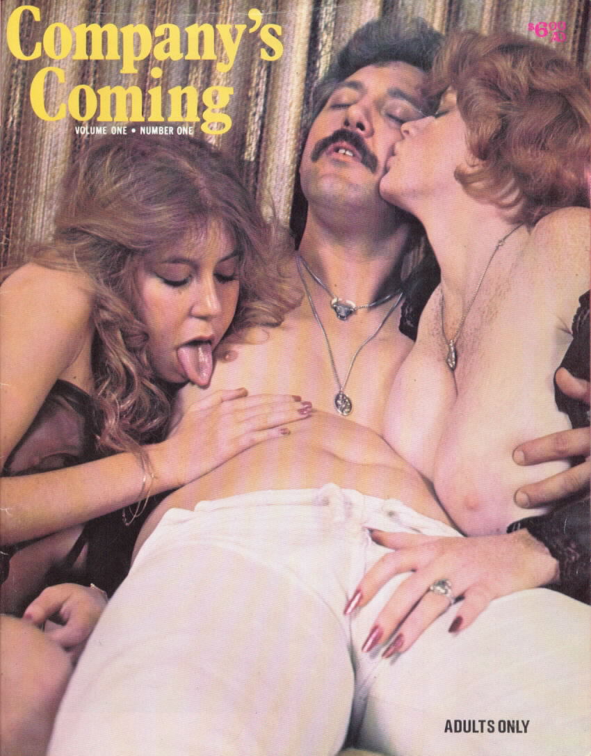 70s Retro Porn Magazines - VintageSleaze.com: Adult Glossy Magazine Catalog -- COMPANY'S COMING Lisa  Deleeuw