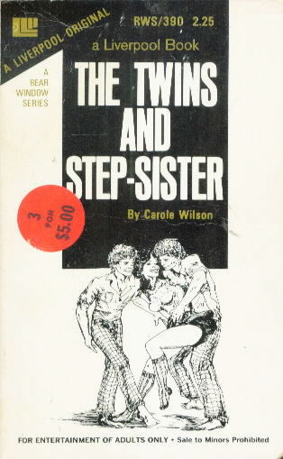 THE TWINS AND STEP-SISTER by Carole Wilson